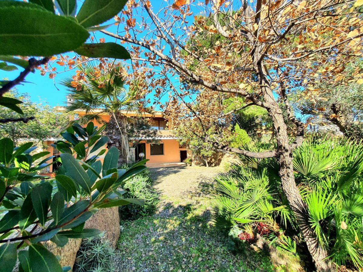 Villa Alice Apartments 오로세 외부 사진